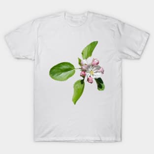 Apple blossom T-Shirt